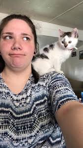 This is our friend we call "Stubby. Stubby started showing up in my yard  last year with part of his or tail gone, and what was left was just a red  stub.