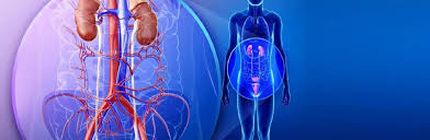 Dr Diyos Hospital Multi Speciality Urology General Physician More In Delhi Lybrate Urologists Overactive Bladder Bladder