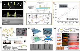 Jana defi posing by the window. Microfluidics For Flexible Electronics Sciencedirect