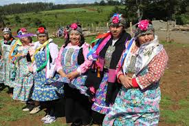 Pueblo mapuche - Wikipedia, la enciclopedia libre
