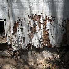 Get quality pest control treatments in framingham, ma. F W Pest Control Framingham