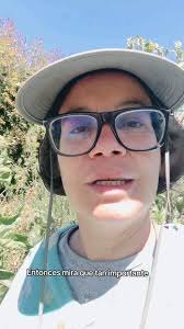 Soltar para Crecer, En la agricultura, la poda es un arte. Se cortan ramas  secas, débiles o enfermas para que el árbol pueda crecer más fuerte,  recibir más luz y dar mejores frutos. Si no se poda a ...