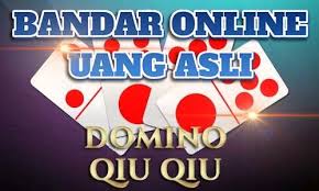 Pin Di Kingpoker99