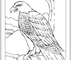 Download and print these patriotic coloring pages for free. Tag Patriotic Coloring Pages Print It Free