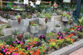 Therefore, if you want to maximize the artistic impact, surround it with relatively soil mix for planting cacti and succulents: Pin On Succulents