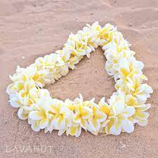 Plumeria Garden Hawaiian Flower Lei Hawaiian Flowers Flower Lei Plumeria