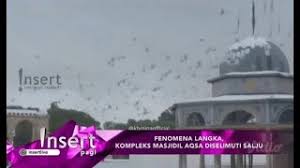 Pemandangan langka kompleks masjidil aqsa turun salju. Masjid Alaqsa Berselimut Salju Palestina Smotret Video Onlajn Brazil Fight Ru