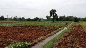 We did not find results for: Cheap Agriculture Land Size Area 150 Acres Rs 375000 Acre Ss Enterprises Id 18367021748