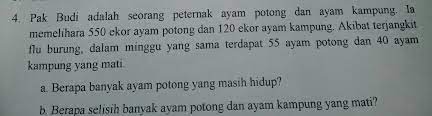 We did not find results for: Pak Budi Adalah Seorang Peternak Ayam Potong Dan Ayam Kampung Ia Memelihara 550 Ekor Ayam Potong Brainly Co Id