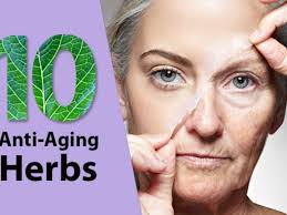 10 herbs for anti-aging and skin care – Ayurveda Tips