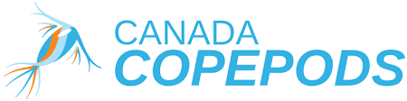 Canada Copepods - Live Copepods, Rotifers and Phytoplankton – Copepods.com  Canada