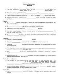 Learn with flashcards, games and more — for free. Collection Of Nervous System Worksheet Bloggakuten Nervous System Lesson Plans Nervous System Lesson Peripheral Nervous System
