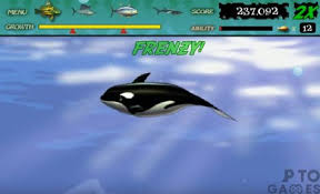 تحميل لعبة السمكة القديمة Feeding Frenzy للكمبيوتر مجانا من ميديا فاير Uptogames In 2020 Animals Whale Games