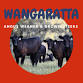 WLE Wangaratta Angus Weaner & Grown Steers event image