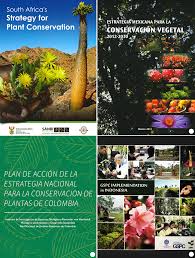Http Rodriguesia Jbrj Gov Br Fasciculos Gspc Gspcartigos Pdf