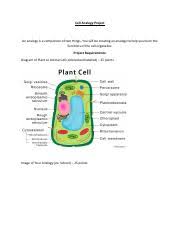 A cell membrane is like skin, it contols whats comes in and out. Cell Analogy Project Cell Analogy Project An Analogy Is A Comparison Of Two Things You Will Be Creating An Analogy To Help You Learn The Functions Course Hero