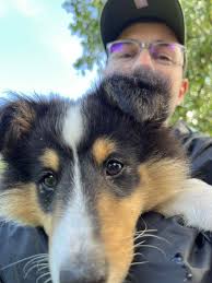 Hi everyone, would you have any recommendations