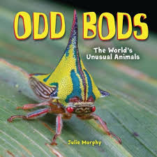 Written by olympic gold medalist and u.s. 10 Best Nonfiction Books For 1st Graders On Epic Epic