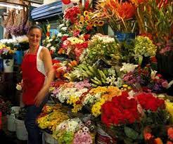 We did not find results for: San Jose Costa Rica Flower Market San Jose Costa Rica Living In Costa Rica Costa Rica