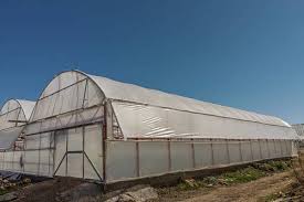Invernaderos caseros: ventajas, tipos y cómo construirlos - ElBlogVerde.com