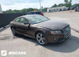 Image result for Teak Brown 2011 A5