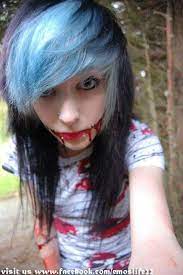 Emo Is My Life Facebook Hair Styles Emo Scene Hair Scene Hair