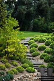 How To Prevent Runoff On A Sloped Lawn Easy Backyard Landscaping Hillside Landscaping Sloped Backyard