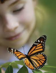 AR FUTURA.REVISED.indd