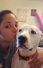 Through our low cost veterinary services, we help you keep your beloved pet. Woman Unable To Pay For Care Blames Milford Er Vet In Animal S Death