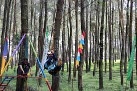 Pantai segolok sebenarnya merupakan salah satu potensi wisata yang dapat dijadikan tempat wisata andalan kabupaten batang jika dikelola dengan baik. Rekomendasi 5 Tempat Wisata Di Batang Yang Sudah Terapkan Protokol Kesehatan