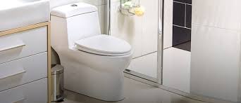 Juego de mesa crazy mistigri base. Instalacion De Sanitarios Sodimac Cl