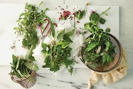 Image result for Bush