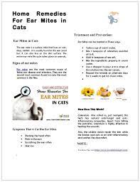 Home Remedies For Ear Mites In Cats Ear Mites In Cats The Ear Mite Is A Surface Mite That Lives On Cats Dogs Rabbits Cat Ear Mites Cat Remedies Pet Remedies