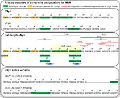 Genotyping assay data is currently only available for alpha, beta, delta and gamma. Alpha Beta And Gamma Synuclein Quantification In Cerebrospinal Fluid By Multiple Reaction Monitoring Reveals Increased Concentrations In Alzheimer S And Creutzfeldt Jakob Disease But No Alteration In Synucleinopathies Molecular Cellular Proteomics