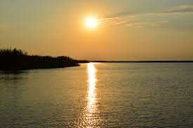 Pentru mai multe detali va rugam sa ne contactati la: Murighiol Cazare Si Pensiune In Delta Articole Seo