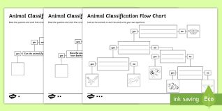 Animal Flow Chart Worksheet Teacher Made