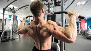 Some of these muscles are quite large and cover broad areas. The 7 Best Back Exercises For Strength And Muscle Gain Barbend