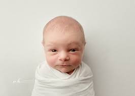 Tami Reich's Instagram, Twitter & Facebook