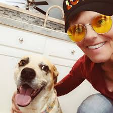 Where to get help for a stray hurt bunny?