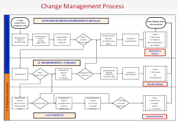 It Npi Process