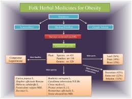 Image result for Xysmalobium heudelotianum