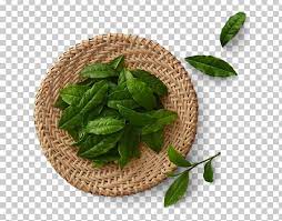 Green Tea Matcha Tea Production In Sri Lanka Black Tea Png Background Green Basil Chinese Tea Food Drinks Golden Monke Matcha Green Tea Matcha Matcha Tea
