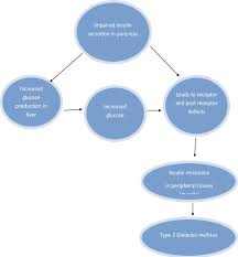 In adults, type 2 diabetes accounts for about 90% to 95% of all diagnosed cases of diabetes. Pathophysiology Of Type 2 Diabetes Mellitus Download Scientific Diagram