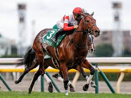 We did not find results for: ãƒ›ãƒ¼ãƒ—ãƒ•ãƒ«så‡ºèµ°é¦¬æ±ºå®šé † ãƒ•ãƒ«ã‚²ãƒ¼ãƒˆã®18é ­ãŒç™»éŒ²ã§é™¤å¤–ã¯ãªã— ç«¶é¦¬ãƒ‹ãƒ¥ãƒ¼ã‚¹ Netkeiba Com