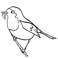 Robin bird in the grass coloring page. Robin Eating Worm Coloring Page Robin Eating Worm Coloring Page Bird Coloring Pages Bird Coloring Robin Bird