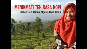 We did not find results for: Legenda Teh Sedap Berasa Kopi Kebun Teh Jamus Ngawi Youtube