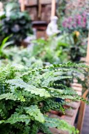 Maybe you would like to learn more about one of these? Davis Wholesale Florist