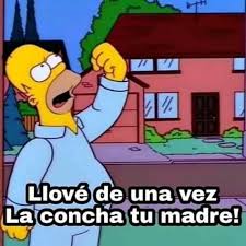 Había dicho unos horas antes el presidente fernández, en lo que se desató una catarata de memes y de denuncias por racismo y xenofobia. Los Infaltables Los Memes Le Pusieron Humor A Una Jornada Infernal Ciudadanos La Voz Del Interior