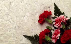 صور ورد Hd احلي الوان ورد باقات زهور جميلة سوبر كايرو