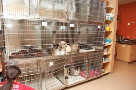 Check spelling or type a new query. Urgent Care Services Springfield Mo Healing Paws Veterinary Clinic